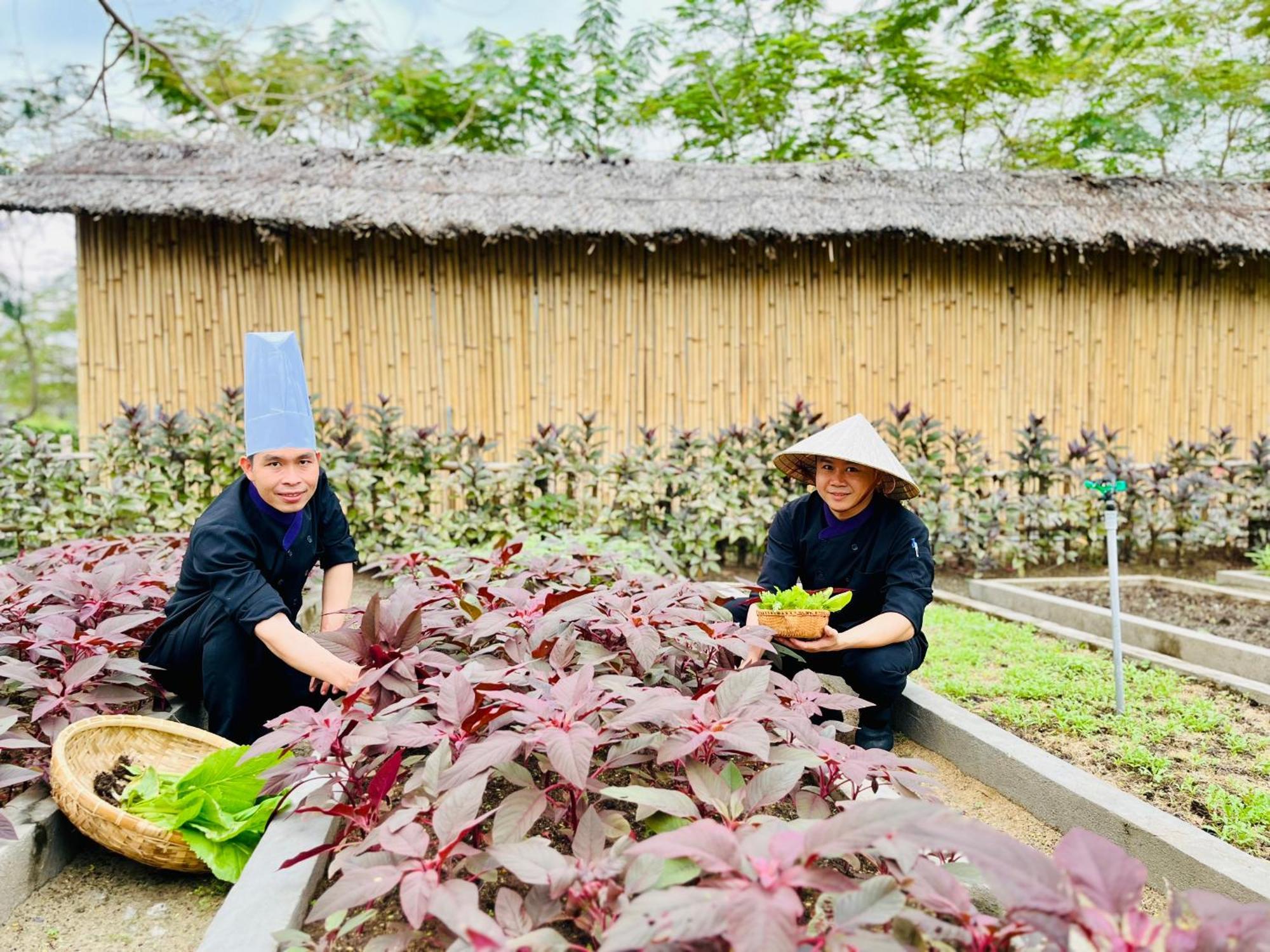 Ttc Van Phong Bay Resort - Himalaya Sauna & Steam Retreat Included Ninh Hoa Екстер'єр фото