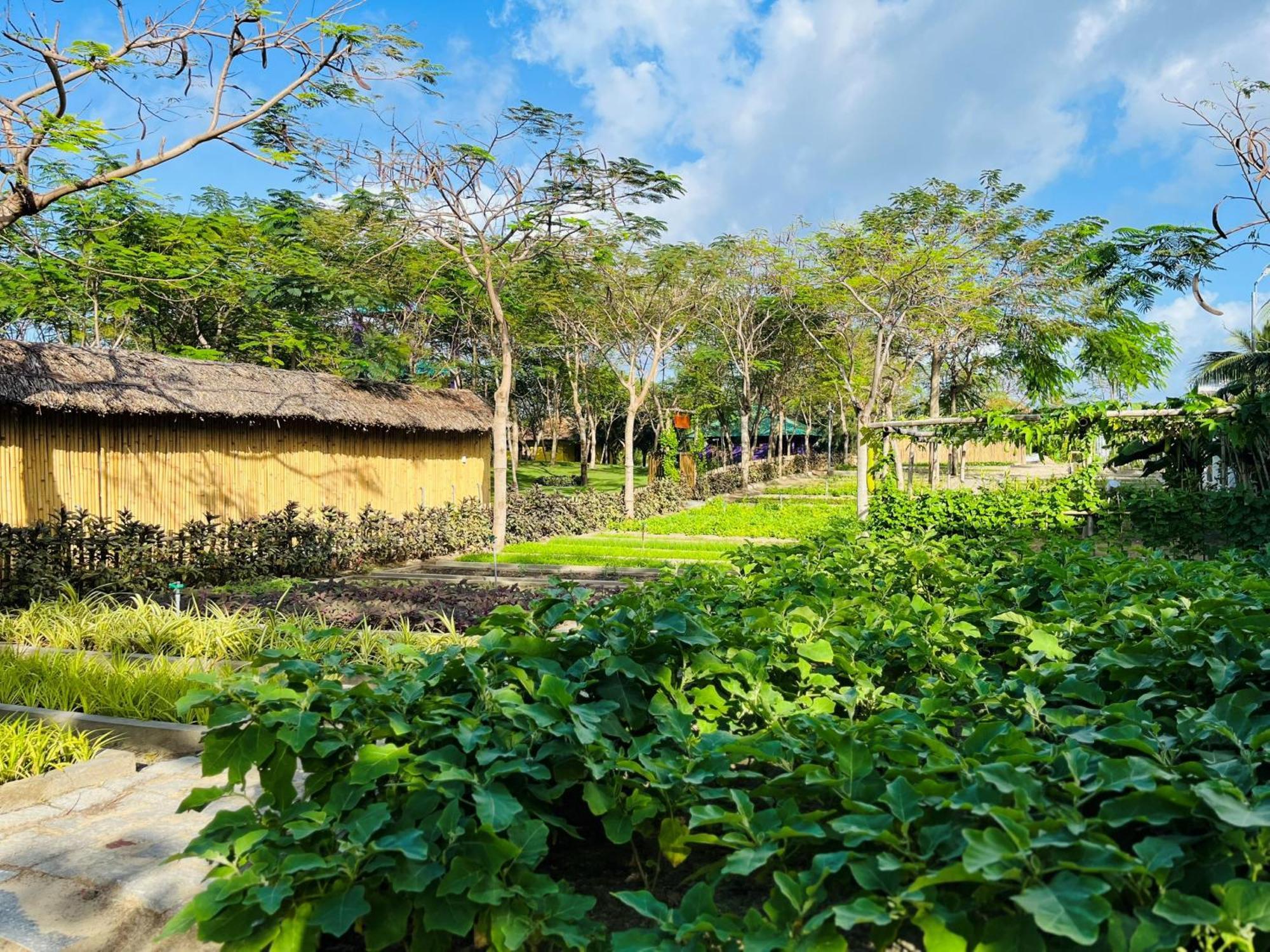 Ttc Van Phong Bay Resort - Himalaya Sauna & Steam Retreat Included Ninh Hoa Екстер'єр фото